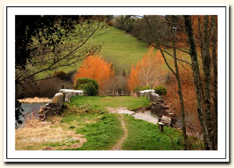 Gearagh,  Macroom,  Landscape